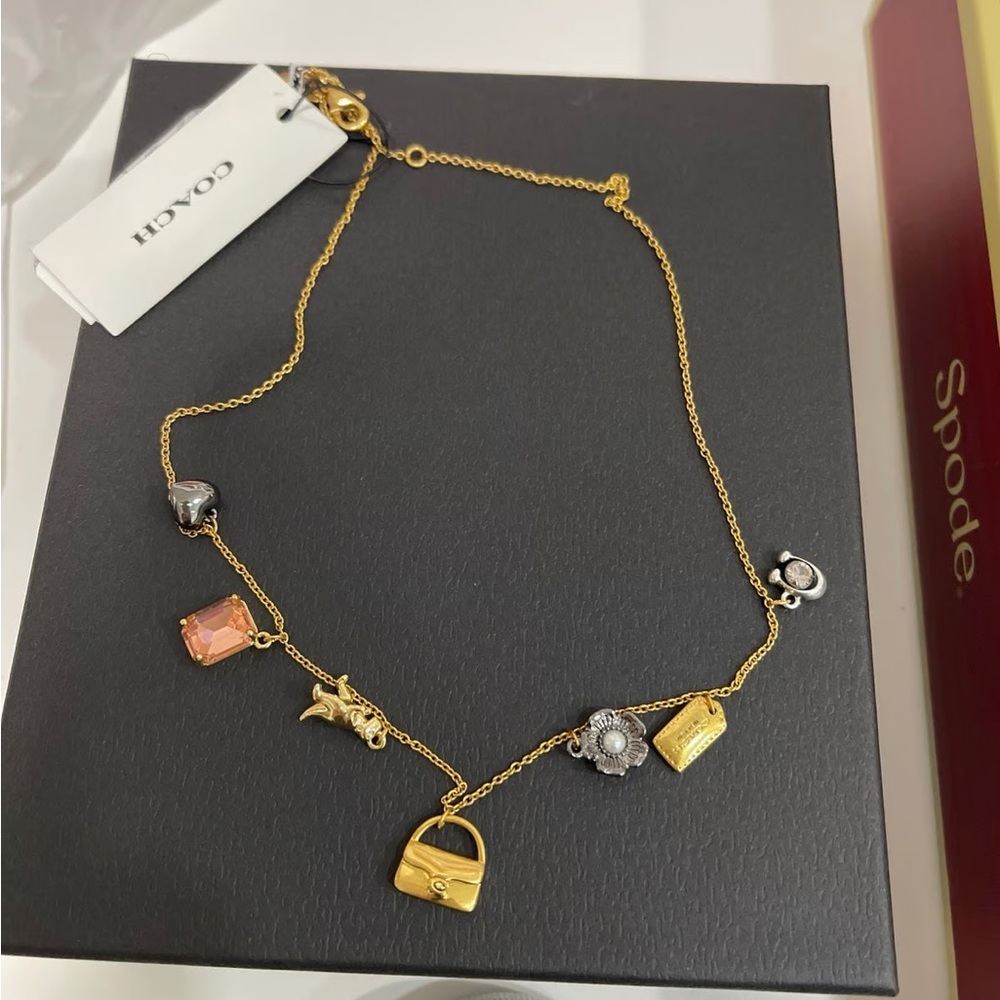 COACH Multi Charm Necklace